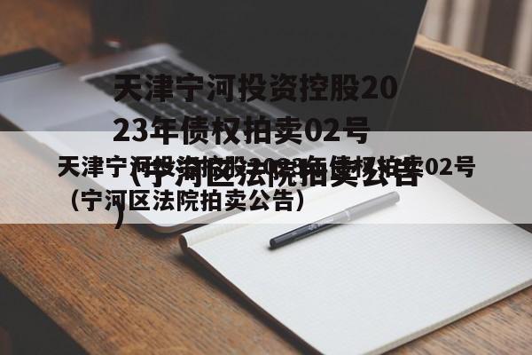 天津宁河投资控股2023年债权拍卖02号（宁河区法院拍卖公告）