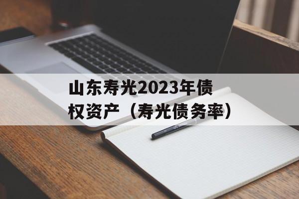 山东寿光2023年债权资产（寿光债务率）