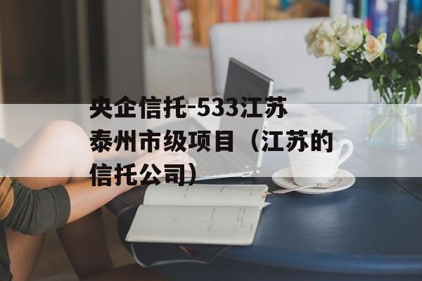 央企信托-533江苏泰州市级项目（江苏的信托公司）