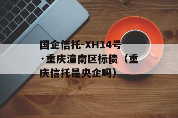 国企信托-XH14号·重庆潼南区标债（重庆信托是央企吗）