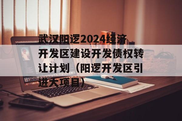 武汉阳逻2024经济开发区建设开发债权转让计划（阳逻开发区引进大项目）