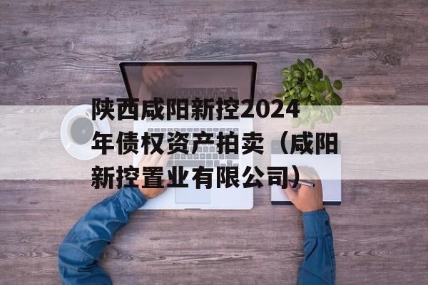 陕西咸阳新控2024年债权资产拍卖（咸阳新控置业有限公司）